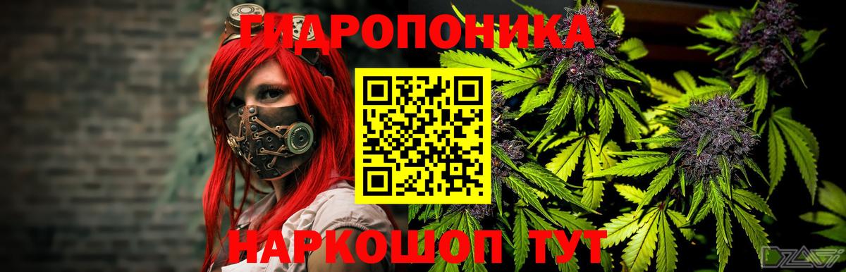 Шишки марихуана Bruce Banner  Бошки Шишки сатива  Каменск-Уральский  Вход с VPN  Бошки Шишки гибрид  Шишки марихуана MAZAR 